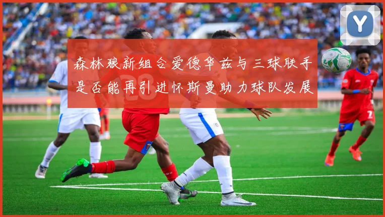 森林狼新组合爱德华兹与三球联手是否能再引进怀斯曼助力球队发展