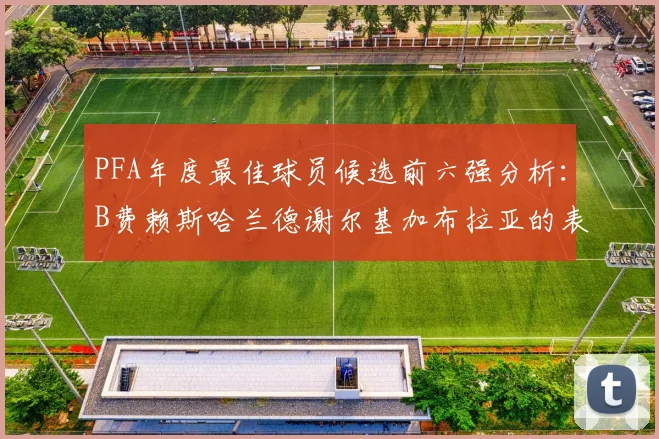 PFA年度最佳球员候选前六强分析：B费赖斯哈兰德谢尔基加布拉亚的表现对比