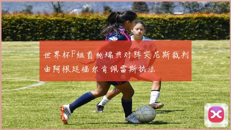 世界杯F组首轮瑞典对阵突尼斯裁判由阿根廷福尔肯佩雷斯执法